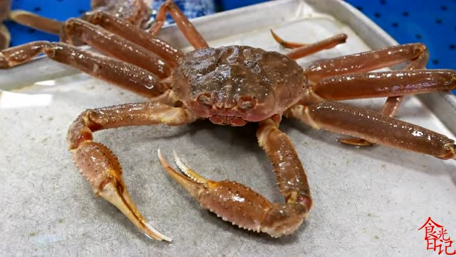 韩国街头食品-巨型雪蟹海鲜