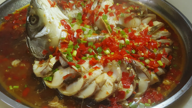 盘龙鱼,正宗_大山谷图库