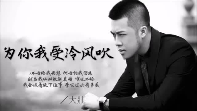 翻唱 大壮 最新翻唱 林忆莲经典歌曲《为你我受冷风吹》