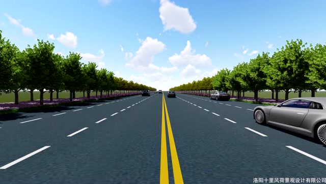 道路标准段效果展示