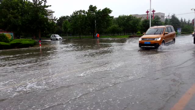 初秋单县大雨过后