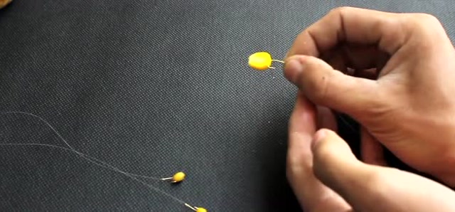 用麦粒饵和玉米粒钓鱼这样挂钩,从此不再会跑鱼