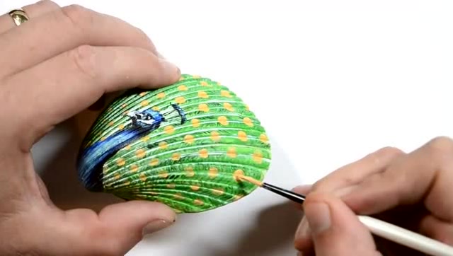 在贝壳上彩绘孔雀真的好漂亮你也可以试试哦