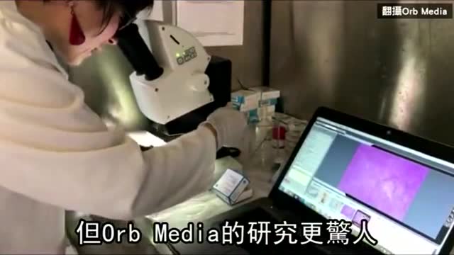 因果不虚！连我们喝的水也有塑胶了