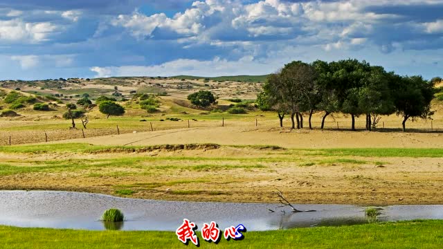 歌曲—心在草原飞