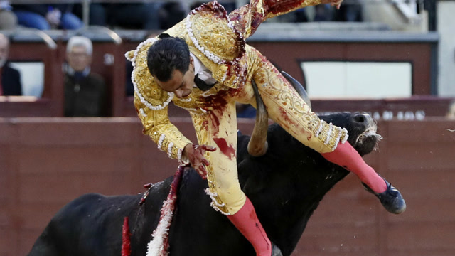 牛疯了,玩命狂顶,这人能不能活下来不好说!