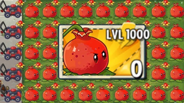 石榴投手:其他的植物们都往后稍稍,这是我石榴投手的秀