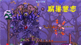 天铭 泰拉瑞亚 仙人掌MOD 28 boss腐巢意志！terraria