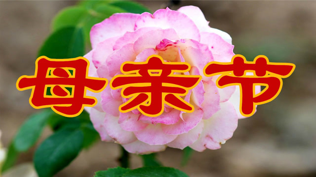 母亲节,一首《梦中的额吉》送给天堂里的妈妈,我好想你