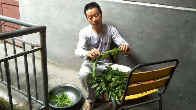 农民工川哥:空心菜的另一种吃法,简单又好吃,很多人还不知道