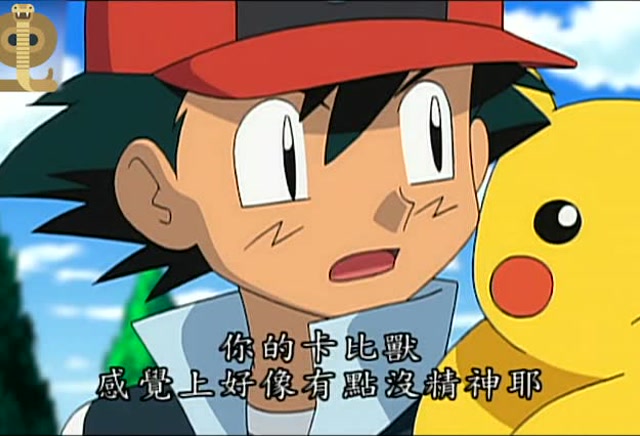 神奇宝贝:小智小刚和小光他们一行人又要去参加比赛吗?