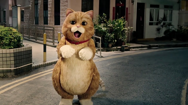 《喵星人》影片中:古天乐帮人养猫,马丽被巨猫的样子萌倒!