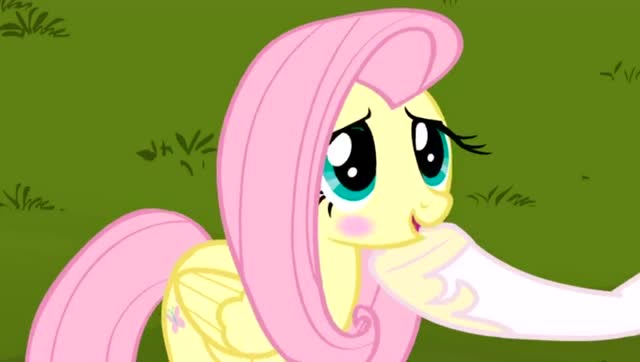 小马宝莉:宇宙公主相信柔柔能让无序改邪归正,小马们把无序放出来