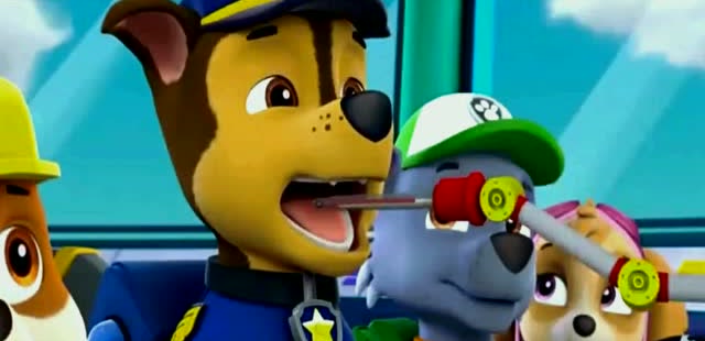 那么多只狗都感冒,莱德也疑惑了