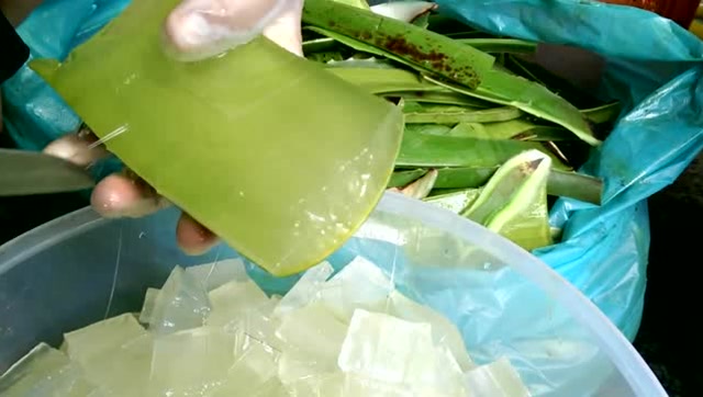 芦荟去皮取肉全过程看完莫名的舒爽啊