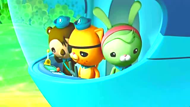 一阵风暴过后,海底一片散乱,重点是小丑鱼艇