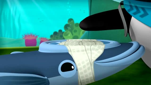 海底小纵队;鮣鱼的吸盘被皮医生医治好了