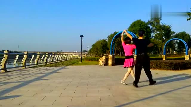 双人舞 慢三《情深意长》老师教学