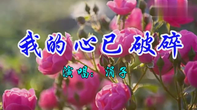 涓子一首网络情歌《我的心已破碎》好听极了