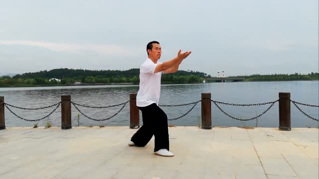 吴式传统83式太极拳(三)