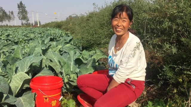 农村娶媳妇要多少彩礼山东农村大姐说出这个数你会有压力吗