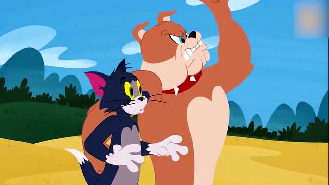 猫和老鼠:三兄弟是怎么夺回女主人的钻戒的