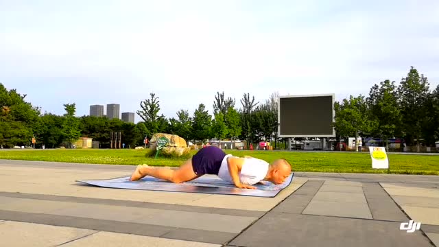 太阳致敬式
