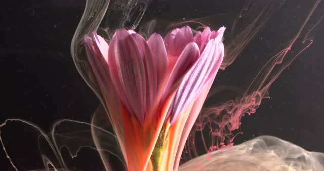 惊艳的视觉"特效":色彩酷炫到了极致,夺人眼球!