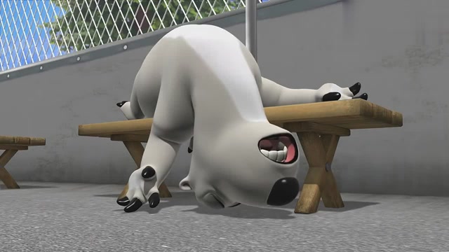 倒霉熊:打篮球!