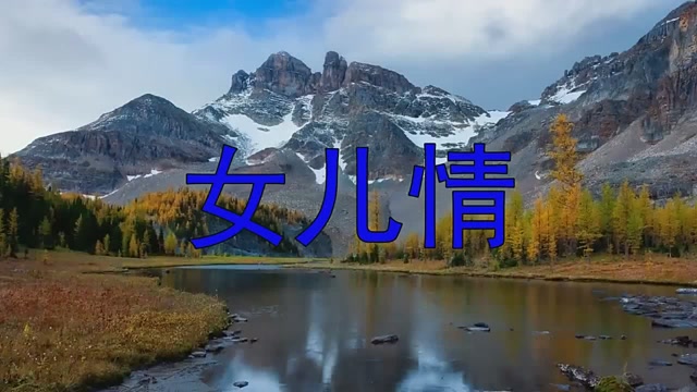 怀旧老歌!童丽一首《女儿情》,太陶醉了