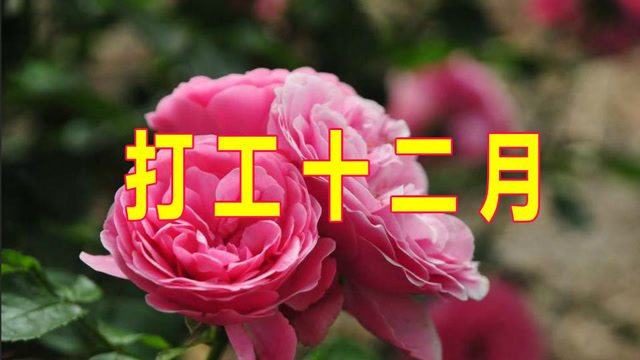 一首《打工十二月》句句大实话,唱出多少打工人的酸甜苦辣!