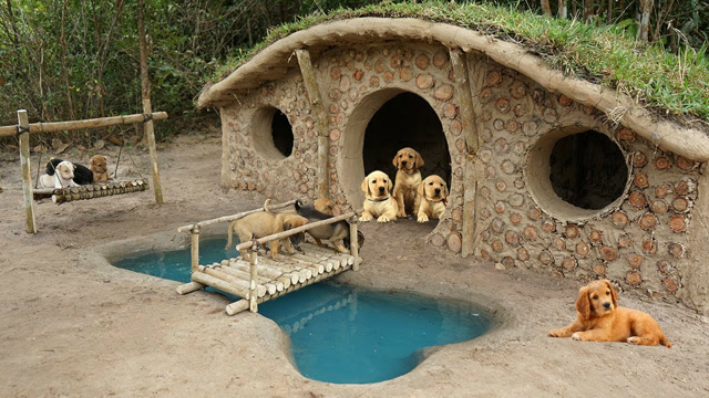 农村小哥深山里隐居,用原始方法修建的创意狗窝,这配套设施太棒了