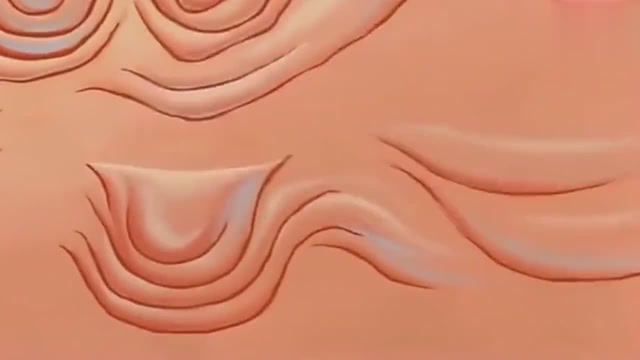 派大星用胶水把海绵宝宝全身都粘住了,真是帮倒忙