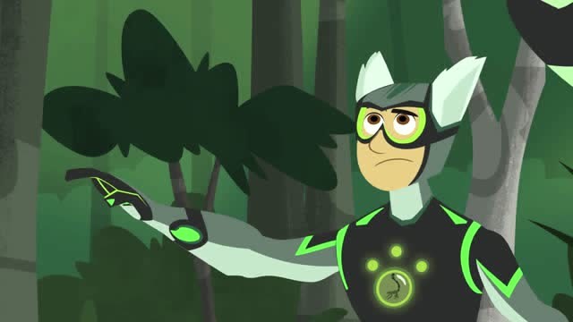 动物兄弟:阿维娃阻止不了达比奥偷走了狐猴气味标记