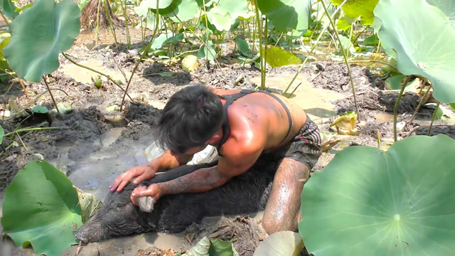 外国小伙徒手抓野猪,和贝爷有的一拼