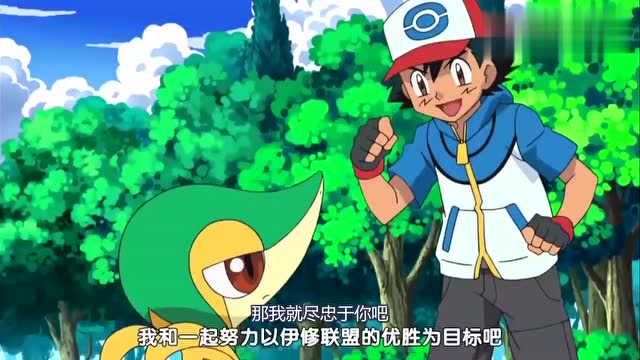 为什么小智的藤藤蛇这么受欢迎呢?