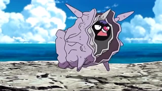 火箭队遇见刺甲贝想趁机收服,结果不仅丢了精灵球,还被戏弄了