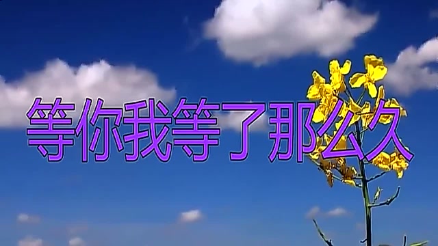 一曲经典《等你我等了那么久》,嗓音清脆,如同山涧潺潺流水!