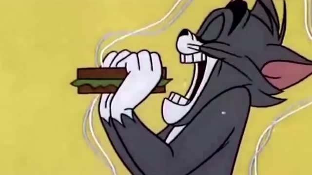 猫和老鼠:tom自作聪明,结果触电,好搞笑啊