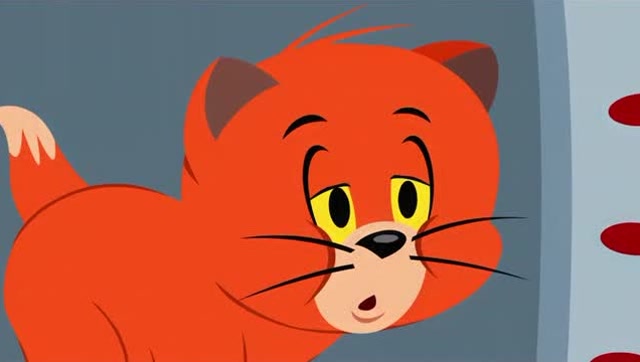 新猫和老鼠 衰老的威尔斯真的被变成了可爱的小猫