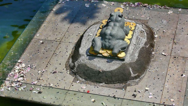 游客投在"许愿池"中的硬币,都去了哪里?你以后还会扔吗?