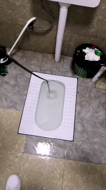 厕所堵了有什么好方法通啊,一天没上厕所,我快憋不住了