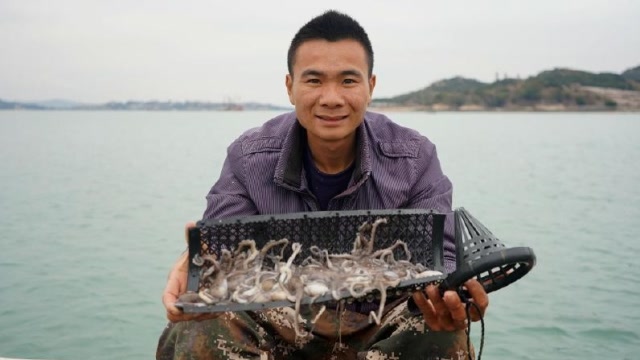 渔人阿烽:阿烽下岛赶海,猛抓小章鱼一只卖十几块,轻松赚400多!