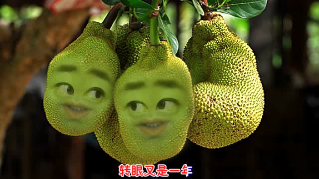 爆笑改编榴莲版《一曲相思》,榴莲的表情太搞笑了