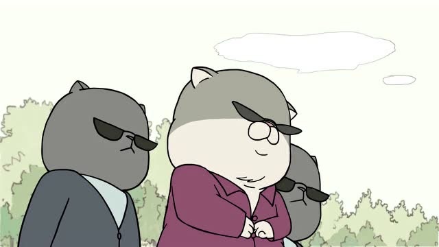 我的邻居全是猫:猫老大下河抓鱼,脱掉外衣就知道事情不简单!