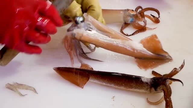 看看韩国人怎么做鱿鱼刺身,从清洗切割到处理完,速度真快