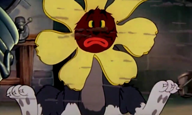 猫和老鼠:汤姆用鞭炮轰炸杰瑞,结果把自己炸成太阳花!