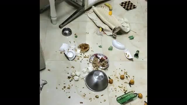 东北两口子打架各种摔东西!看这一地狼藉,网友:东北女人不能惹