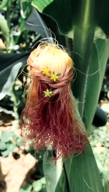 美容美发哪家强,玉米须发型了解一下