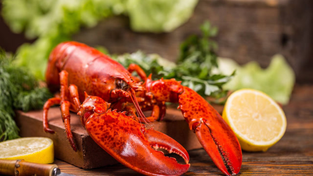 《西虹市首富》里的帝王龙虾是真的吗?看完才知道导演是真厉害!